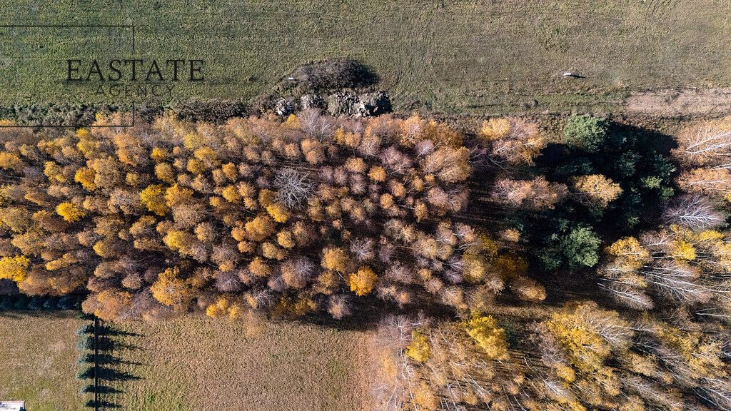 Działka budowlana Kaleń-Towarzystwo, ul. Długa. Zdjęcie 2