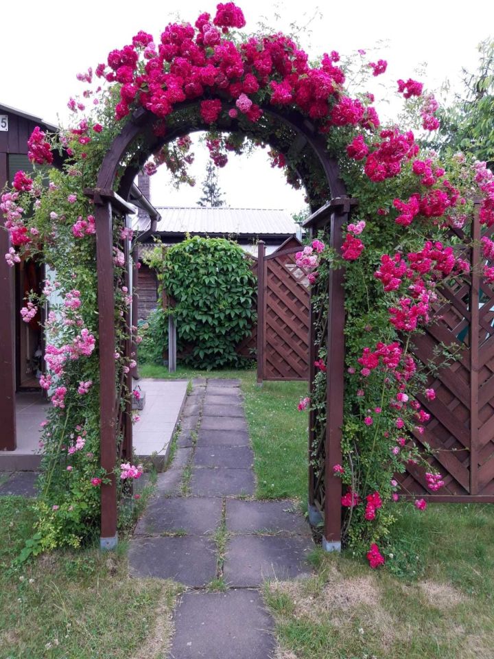 Działka rod Szczecin Krzekowo, ul. Janka Muzykanta. Zdjęcie 7