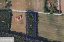 Działka budowlana Orzechówka. Zdjęcie 3