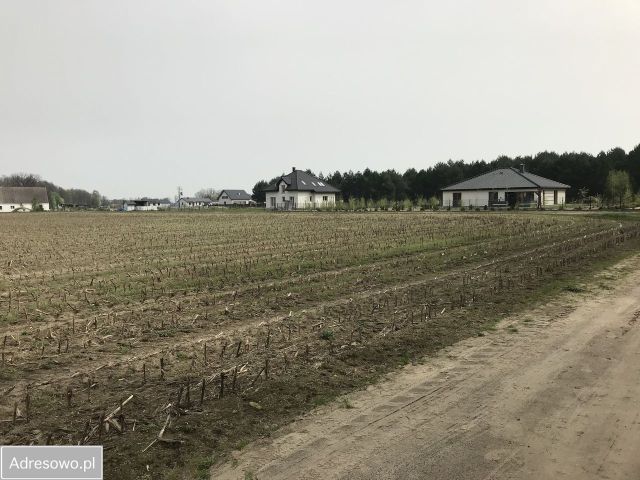 Działka budowlana Liszkowice. Zdjęcie 1