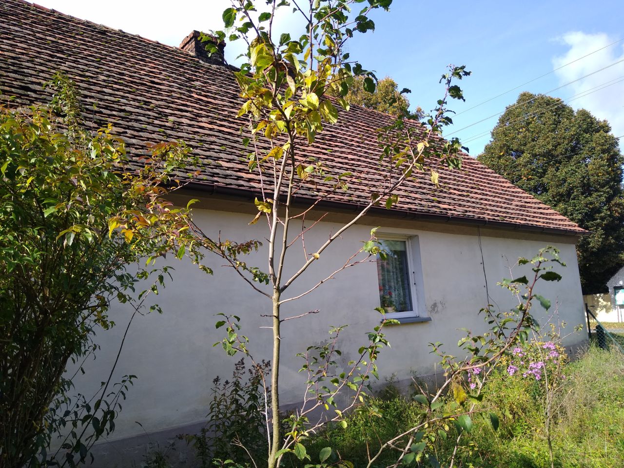 dom wolnostojący, 3 pokoje Drzeńsk Mały. Zdjęcie 4