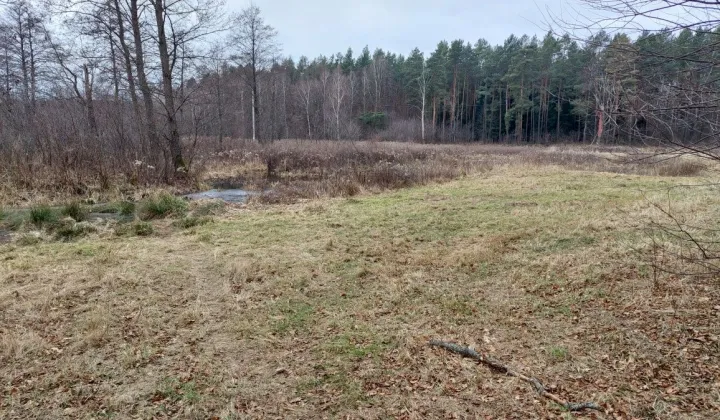 Działka inwestycyjna Mołodycz