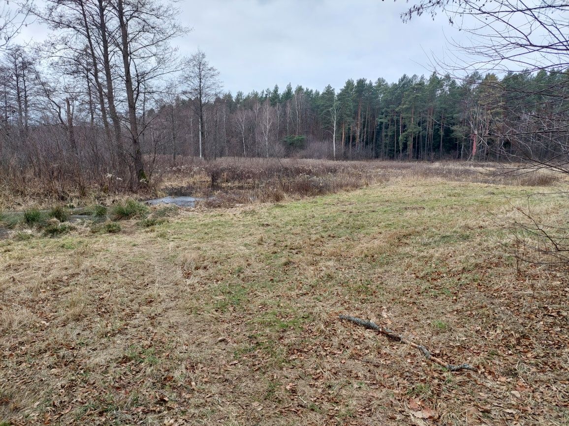 Działka inwestycyjna Mołodycz