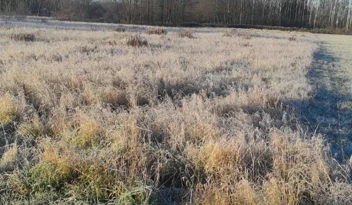 Działka budowlana Kalników