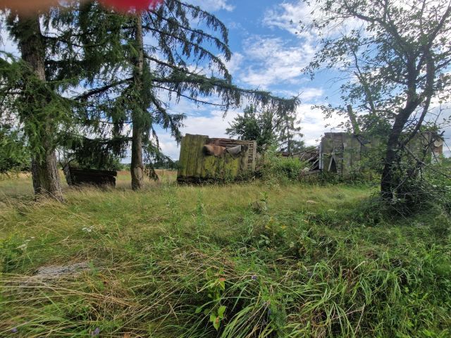 Działka budowlana Sady. Zdjęcie 1