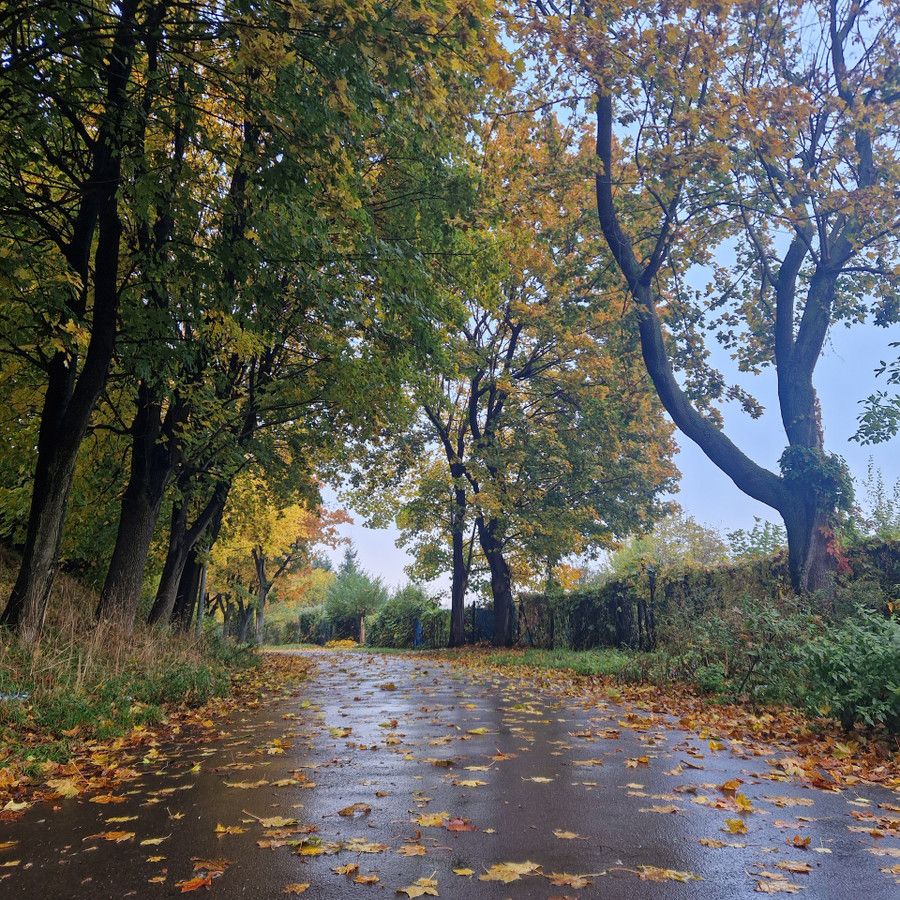 Mieszkanie 3-pokojowe Wałbrzych Nowe Miasto. Zdjęcie 22