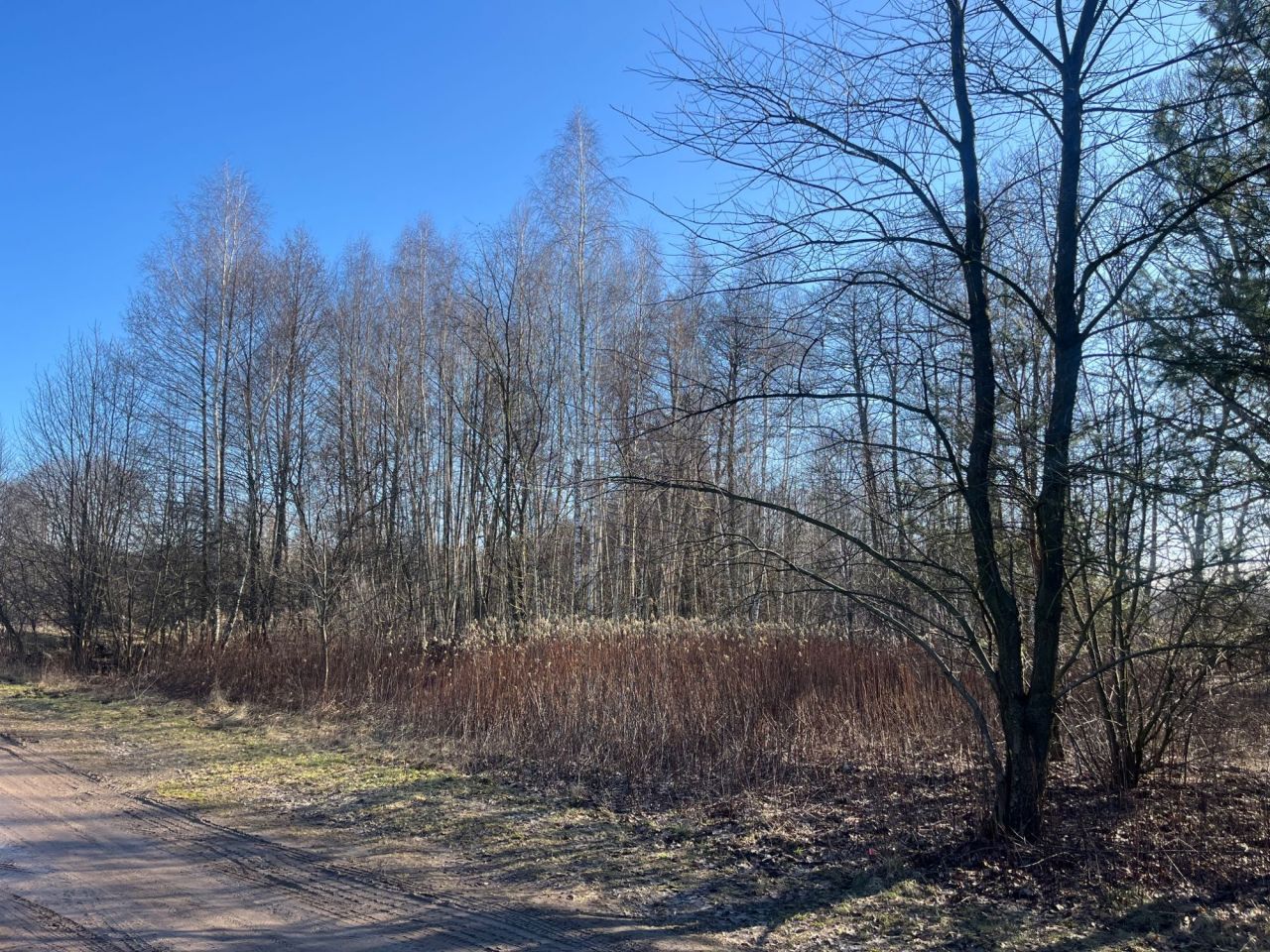 Działka budowlana Józefów, ul. Leśna. Zdjęcie 7