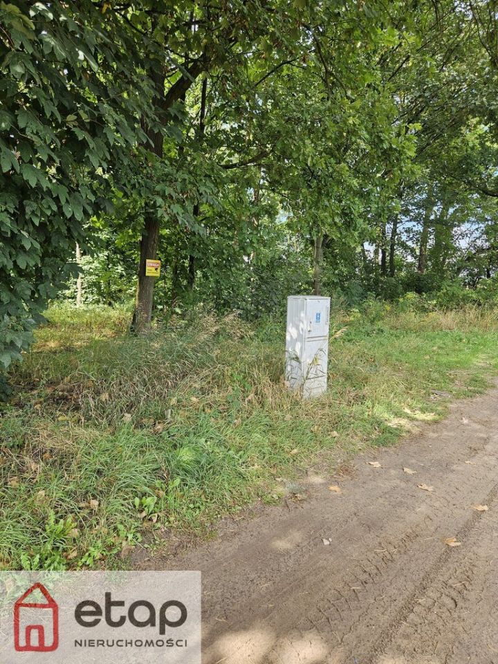 Działka budowlana Zborowo. Zdjęcie 21