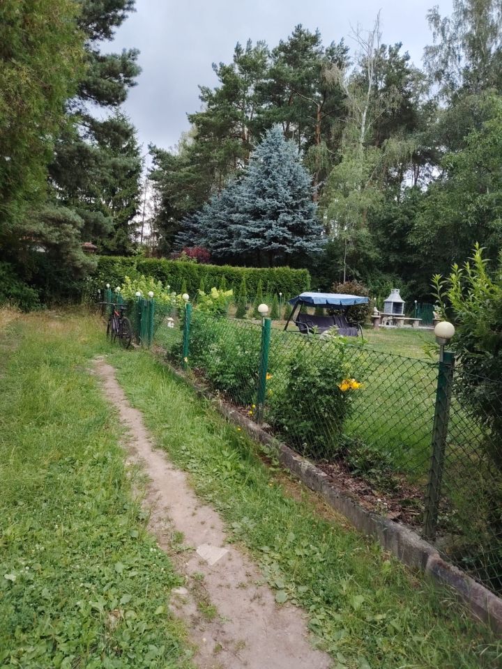 Działka rod Łódź Nowosolna, ul. Jana Kasprowicza. Zdjęcie 14