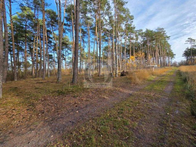 Działka budowlana Dziwnów. Zdjęcie 6