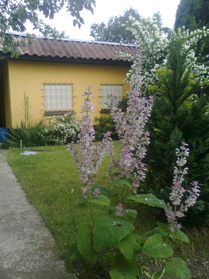 Działka rekreacyjna Wrocław Śródmieście, ul. Odona Bujwida