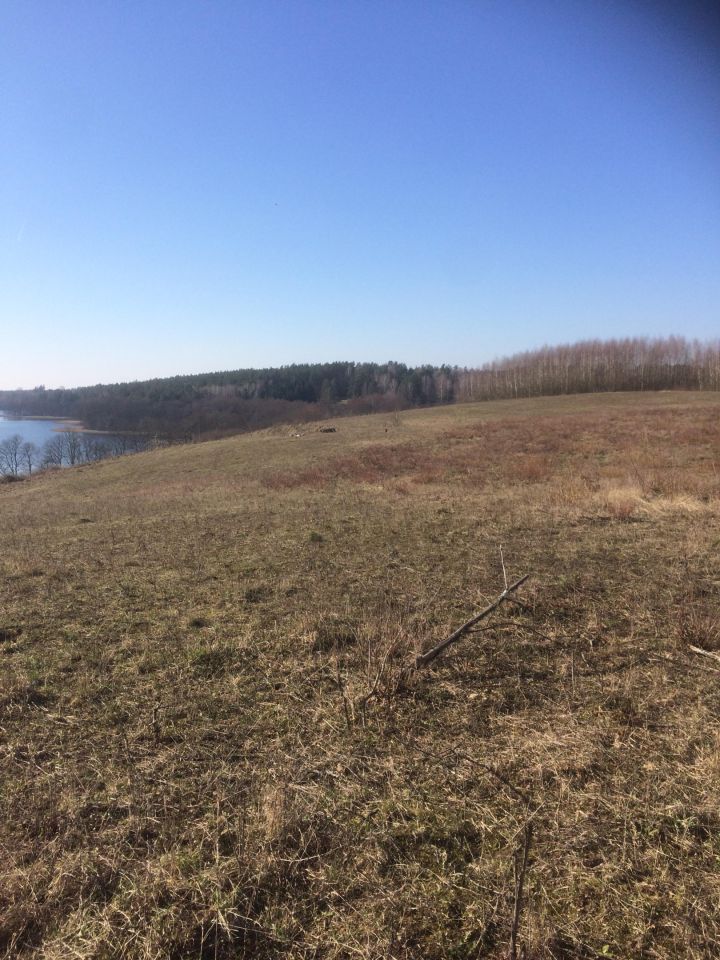 Działka rolna Tumiany. Zdjęcie 6