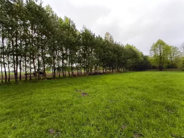 Działka rolna Smogorzewo Pańskie. Zdjęcie 3