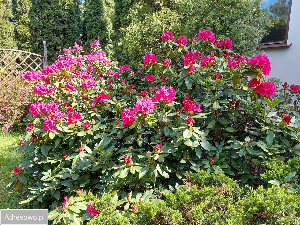 Działka rod Krępa, ul. Długa. Zdjęcie 13