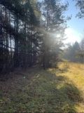 Działka rolno-budowlana Teodory. Zdjęcie 1