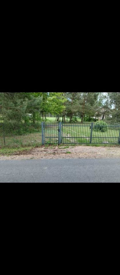 Działka siedliskowa Rogóźno. Zdjęcie 6