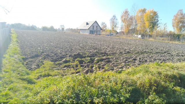 Działka rolno-budowlana Grzmucin. Zdjęcie 1