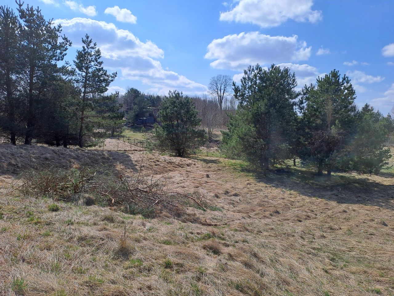 Działka rekreacyjna Dąbrówno, Wzgórze Letniskowe Dąbrowa. Zdjęcie 13