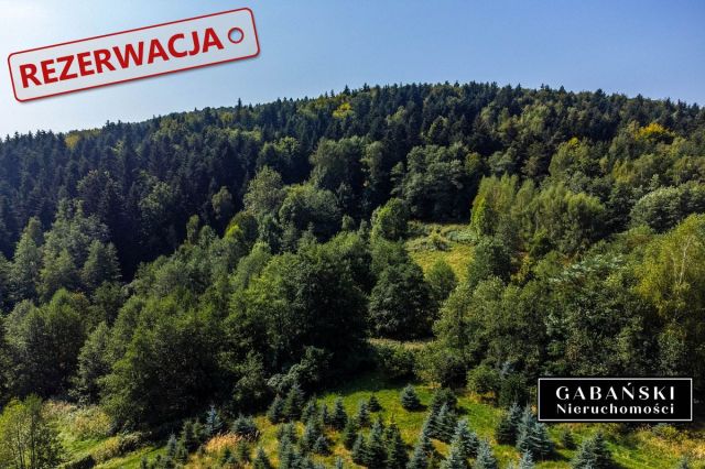 Działka budowlana Słona. Zdjęcie 3