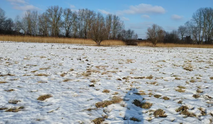 Działka budowlana Warszawa Wilanów, ul. Ruczaj