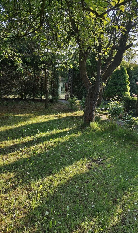 Działka rod Olkusz Czarna Góra, ul. Żuradzka. Zdjęcie 3