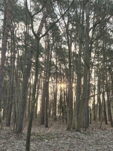 Mieszkanie 3-pokojowe Ostróda, ul. Zawiszy Czarnego. Zdjęcie 12