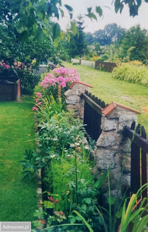 Działka rod Biedrusko. Zdjęcie 8