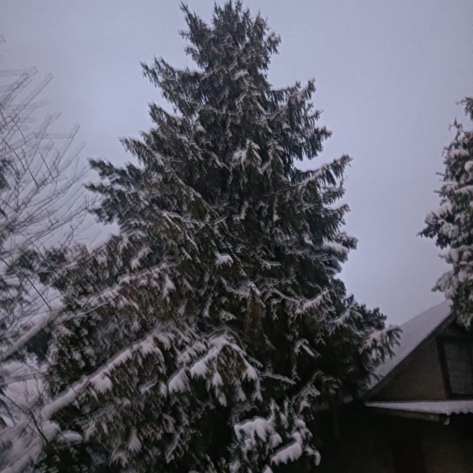 Mieszkanie 2-pokojowe Kraków Nowa Huta, os. Handlowe. Zdjęcie 19