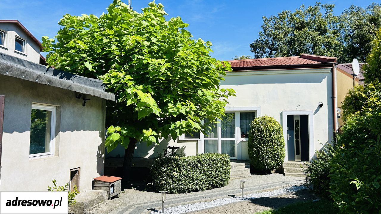 Zdjęcie 3