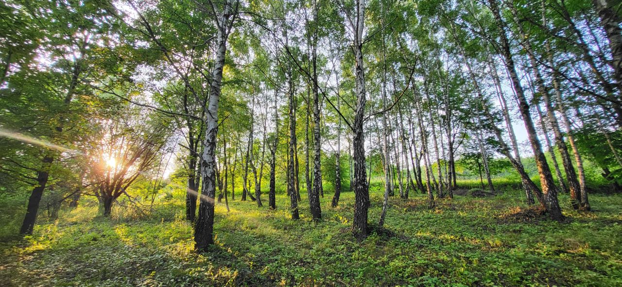 Działka budowlana Tyczyn. Zdjęcie 4