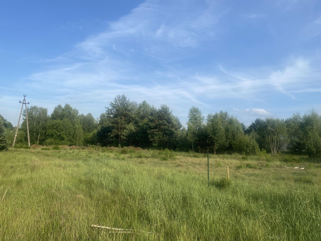 Działka rolno-budowlana Ciekoty. Zdjęcie 2