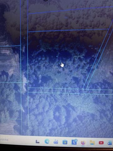 Działka rolno-budowlana Wola Rowska. Zdjęcie 1