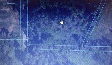 Działka rolno-budowlana Wola Rowska