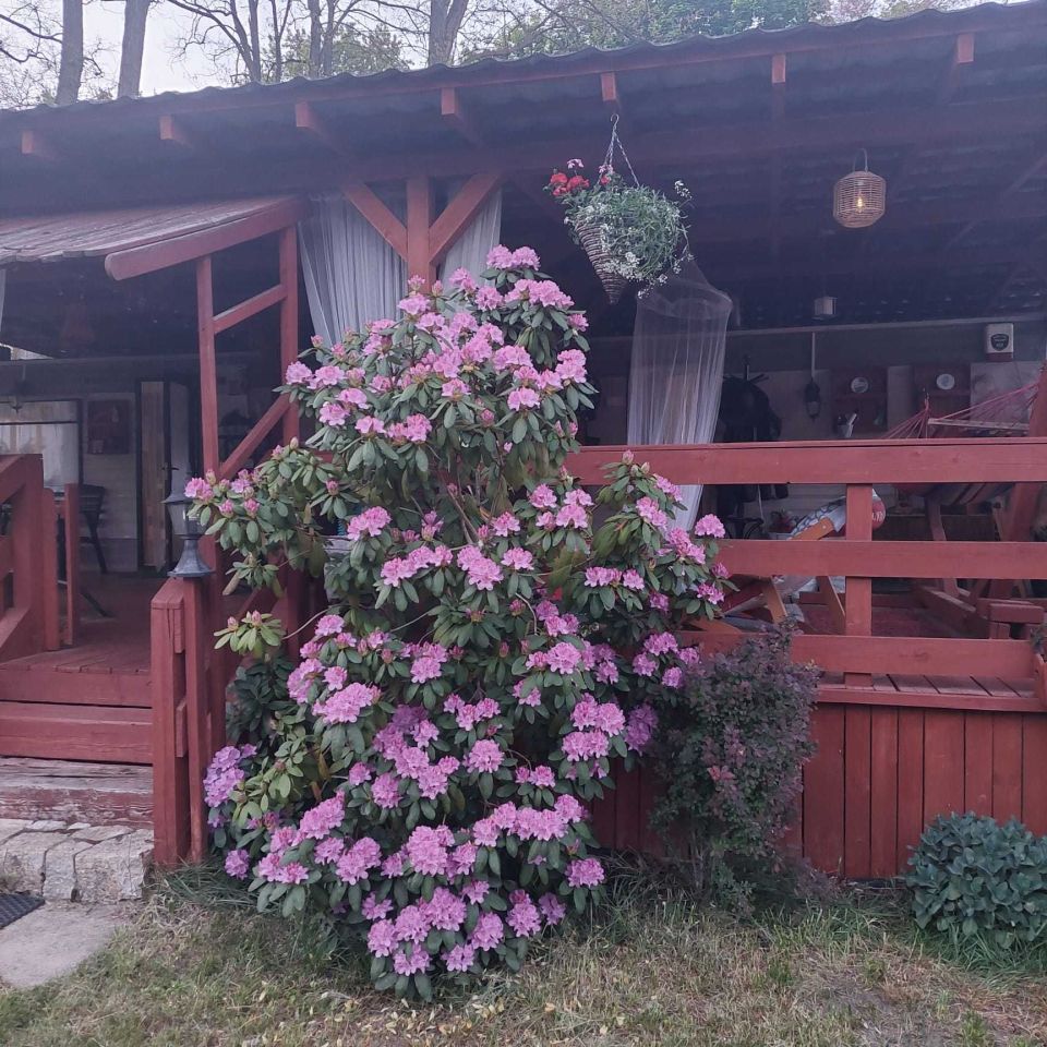 Działka rekreacyjna Przeczyce. Zdjęcie 8