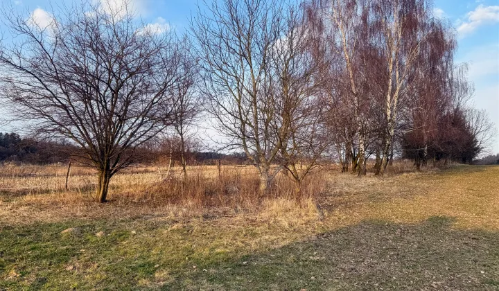 Działka rolno-budowlana Tomaszowice