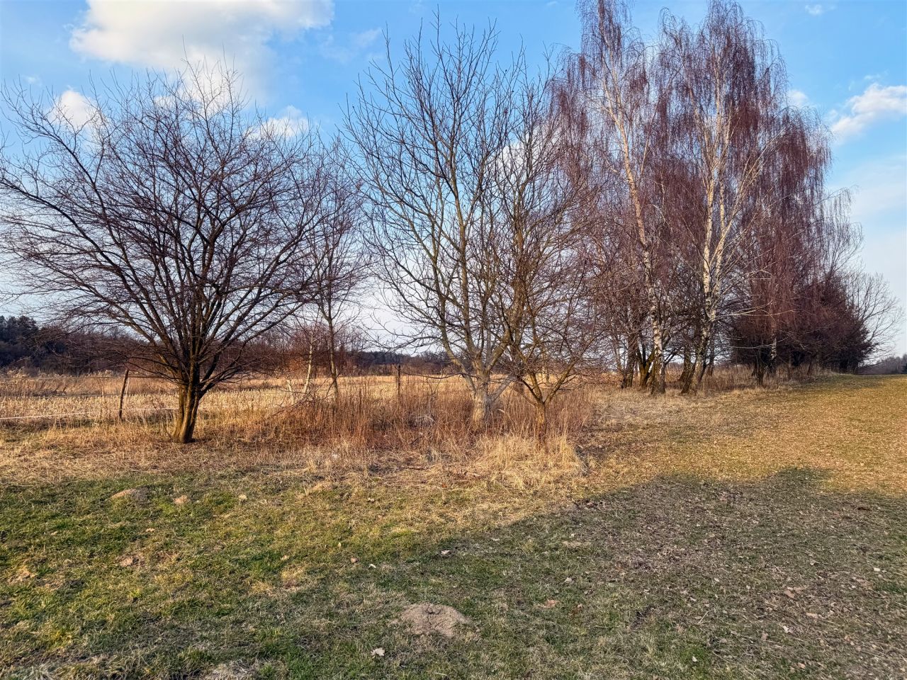 Działka rolno-budowlana Tomaszowice. Zdjęcie 1