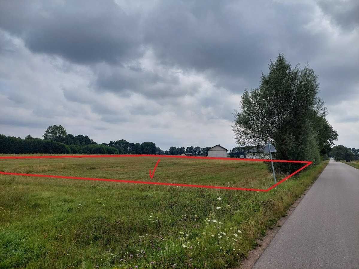 Działka rolno-budowlana Wiśniew-Kolonia. Zdjęcie 4