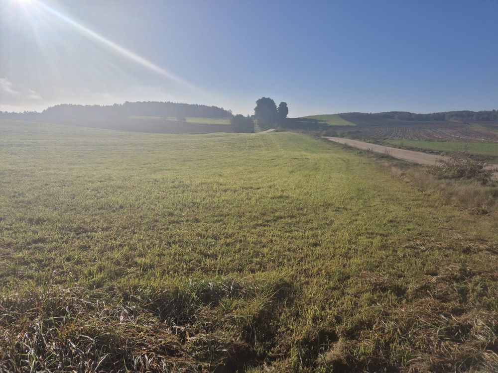 Działka budowlana Dąbrówka, ul. Rzeczna. Zdjęcie 5