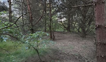 Działka budowlana Wioska, ul. Jodłowa