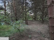 Działka budowlana Wioska, ul. Jodłowa. Zdjęcie 1