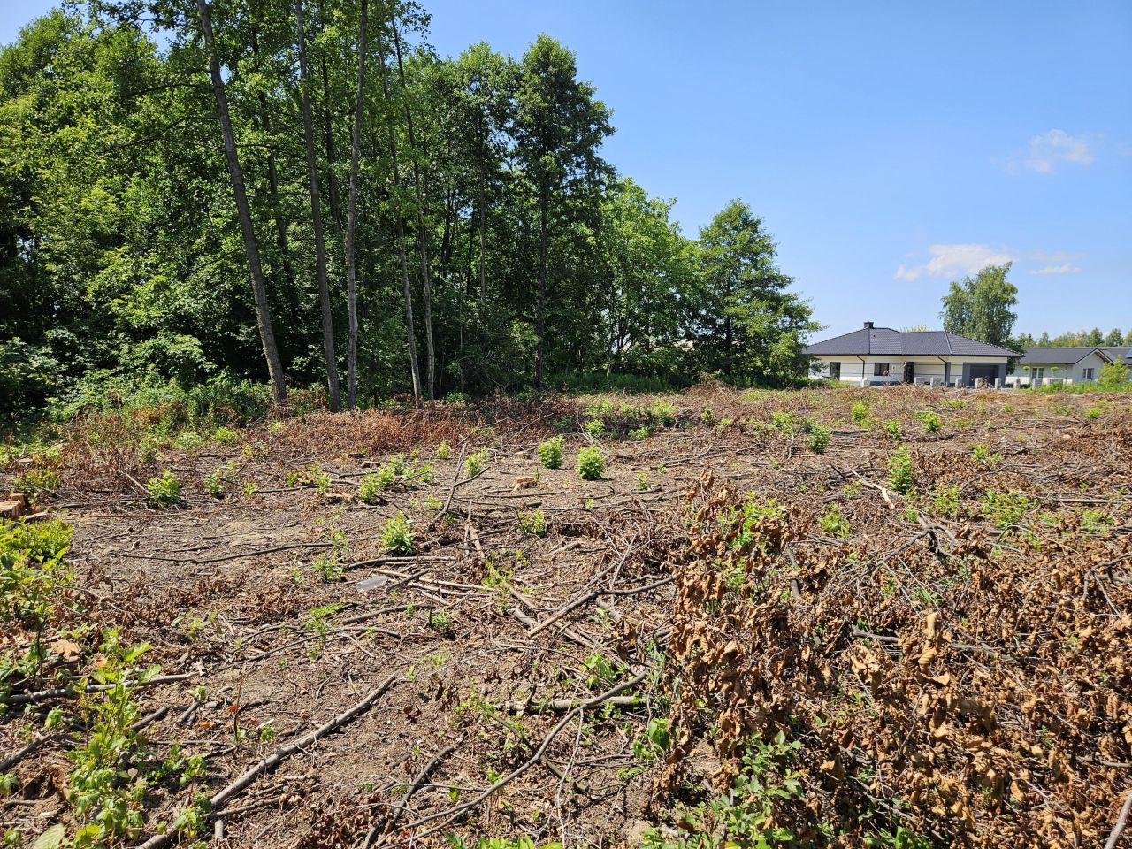 Działka rolna Pustynia. Zdjęcie 7