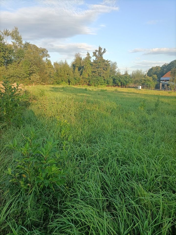 Działka budowlana Buczków. Zdjęcie 5