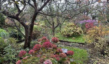 Działka rod Gdynia Mały Kack