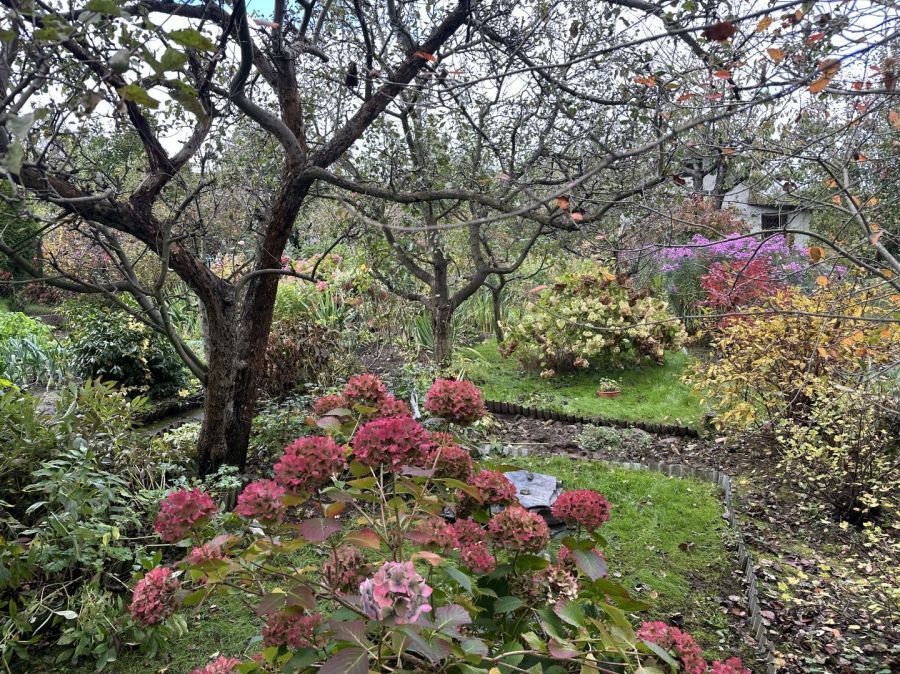 Działka rod Gdynia Mały Kack. Zdjęcie 2