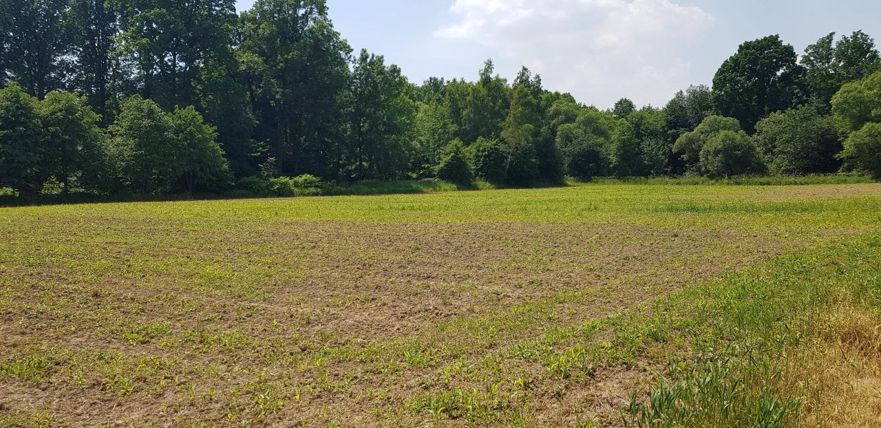 Działka rolna Gołkowice, ul. Na Górze. Zdjęcie 3