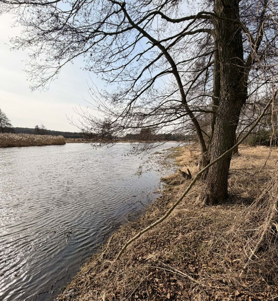 Działka inna Toporów, ul. Nadwarciańska. Zdjęcie 8