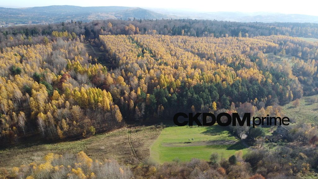 Działka rolna Cisów. Zdjęcie 2