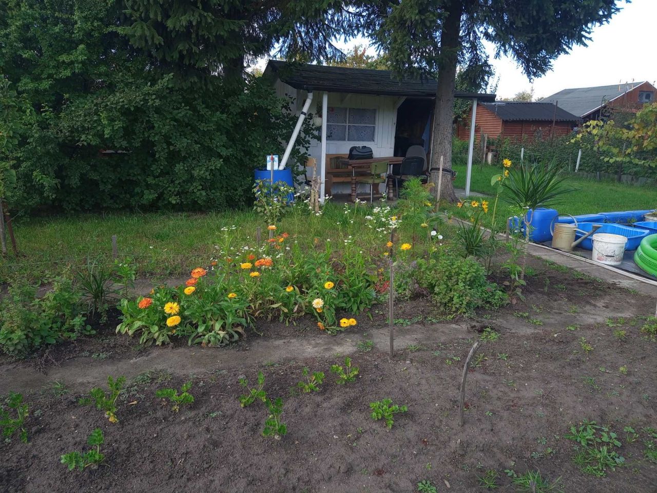 Działka rekreacyjna Wrocław Krzyki