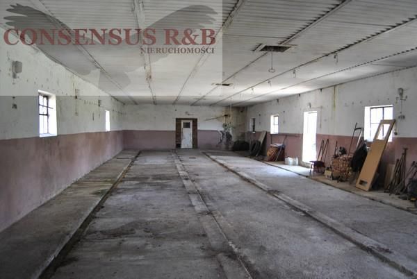 Hala/magazyn Prudnik. Zdjęcie 8