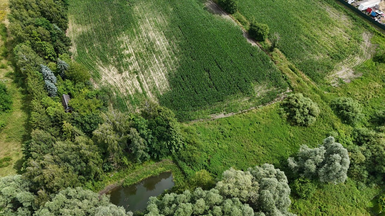 Działka rolna Obórki. Zdjęcie 24